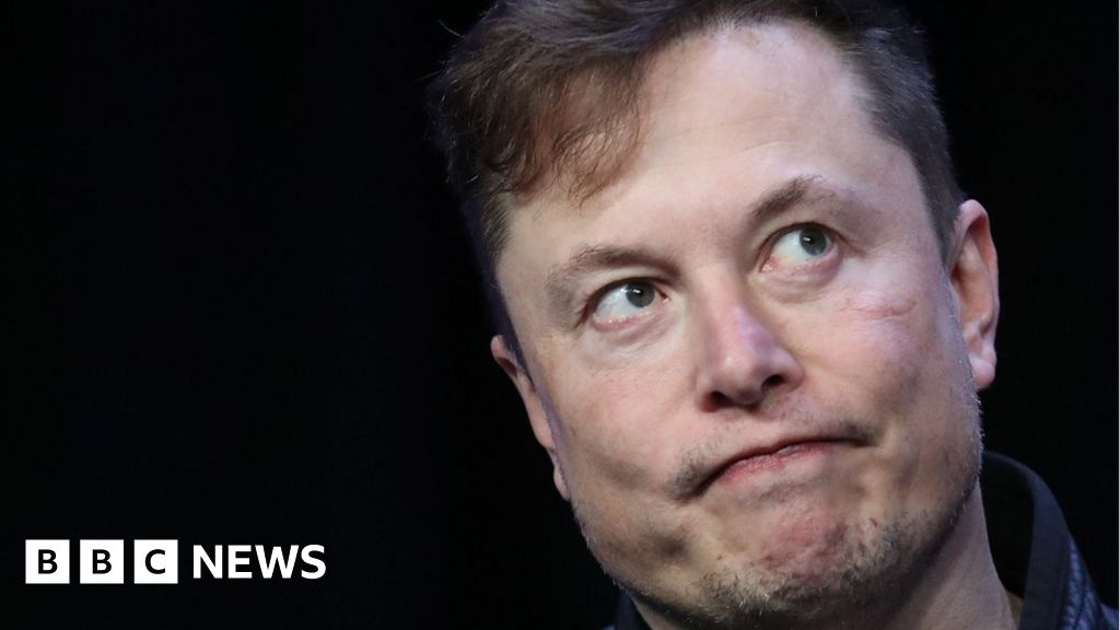 Musk tweets 'Tesla stock price is too high imo'