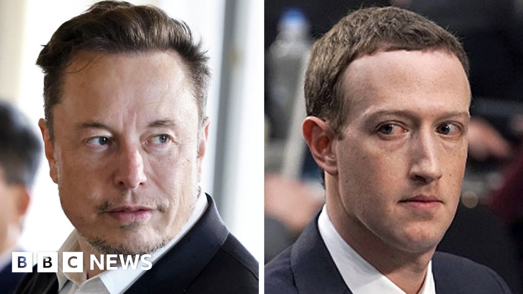 Musk proposes a cage match with Mark Zuckerberg