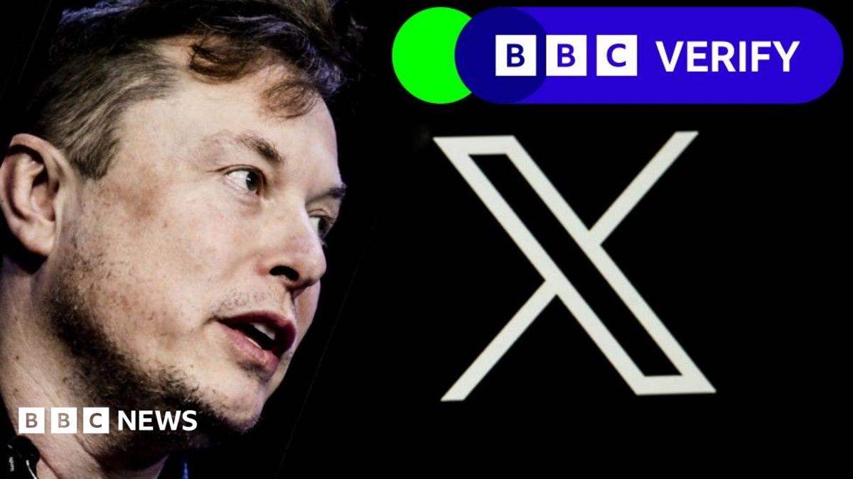 Musk promotes 'imported voters' claims about immigration