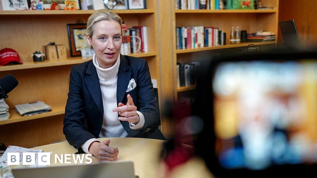 Musk hosts AfD leader Alice Weidel on X livestream