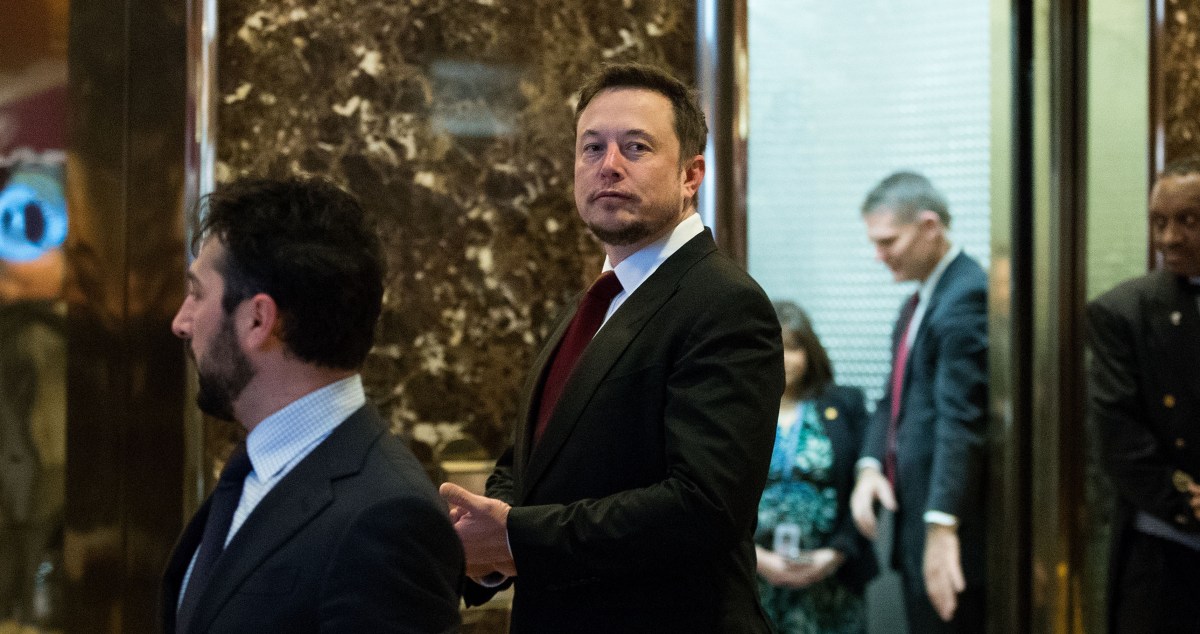 Musk quits Trump councils over Paris climate exit